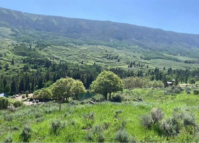 Property at 289 Eagles Rst, Cimarron, CO 81220