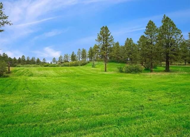 Property at X E Morning Glory Dr, Pagosa Springs, CO 81147