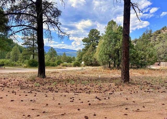Property at 22 Blue Jay Pl, Pagosa Springs, CO 81147