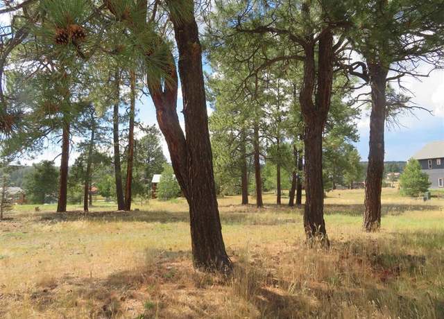 Property at 142 Hatcher Cir, Pagosa Springs, CO 81147