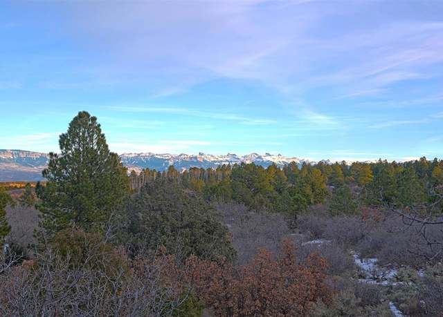 Property at TDB Homestead Government Springs Road Rds, Montrose, CO 81403
