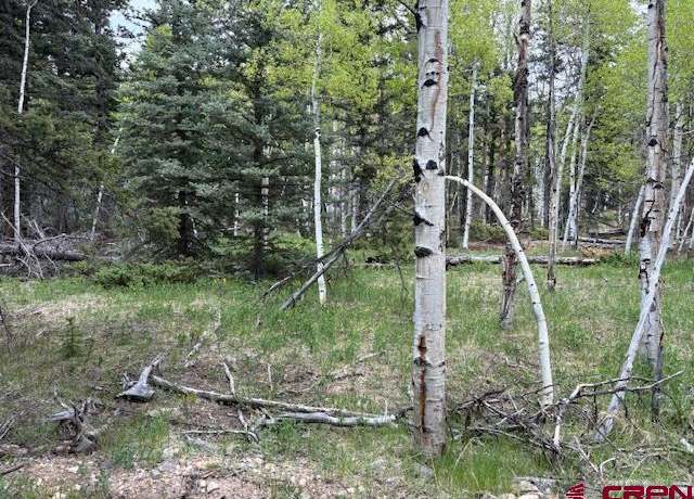 Property at tbd Adams, Jasper, CO 81144