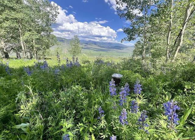 Property at 1040 Red Mountain Rd, Crested Butte, CO 81224