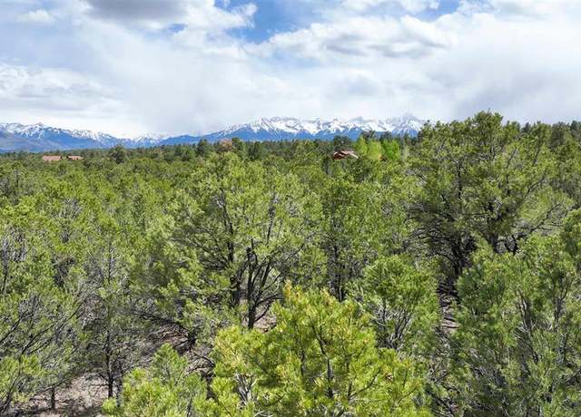 Property at 212 Fisher Canyon Dr, Ridgway, CO 81432