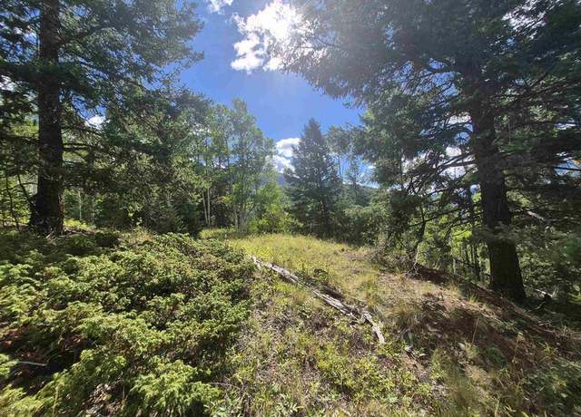 Property at Blk 89 Lots 4-6, Jasper, CO 81144