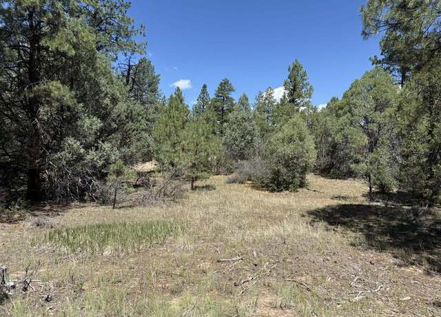 Property at 124 Susan's Pl, Pagosa Springs, CO 81147