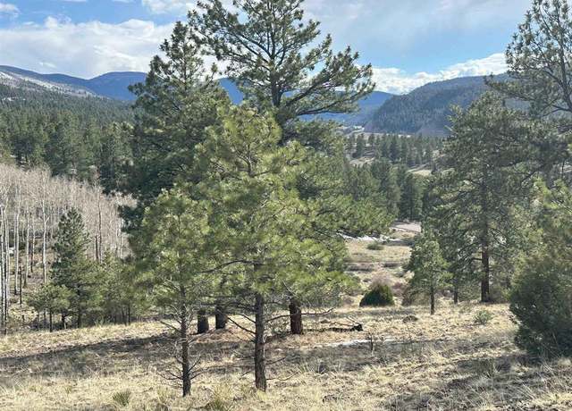 Property at 598 N Skyline Dr, South Fork, CO 81154
