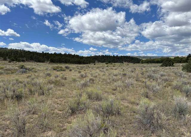 Property at TBD Conejos River Trl, Antonito, CO 81120