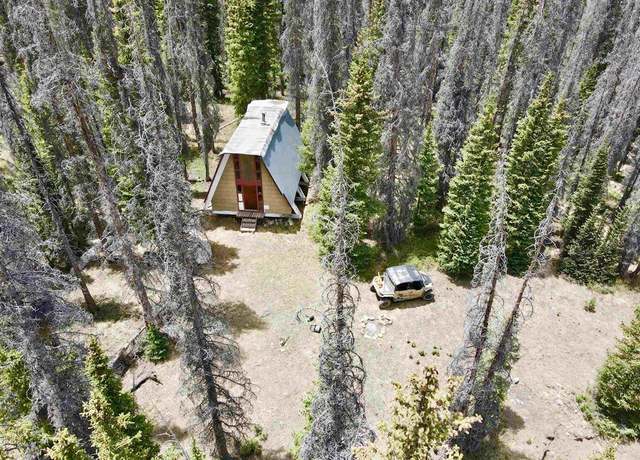 Property at XX Iron Creek Dr, CO 81120