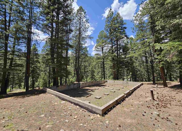 Property at 37 Enchanted Forest Dr, Bayfield, CO 81122