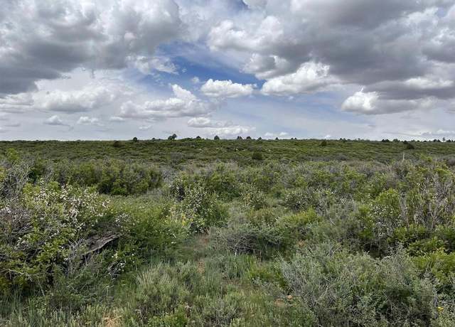Property at 3535 Road 10.8, Dove Creek, CO 81324