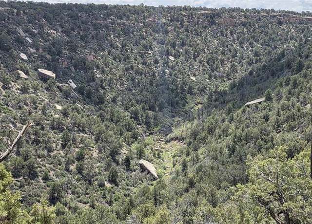 Property at 28580 Road 17.5, Pleasant View, CO 81331