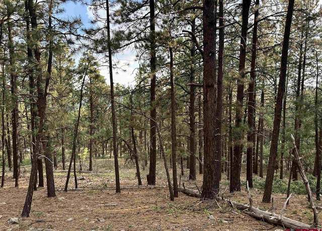 Property at 259 Hillside Cir, Bayfield, CO 81122