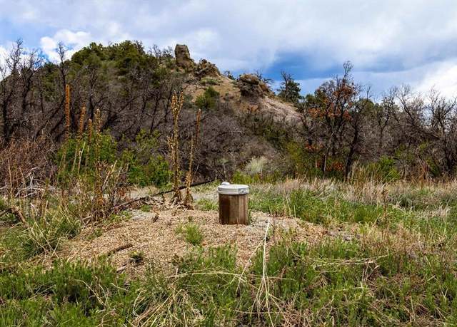 Property at TBD Wild Turkey Cyn, Durango, CO 81301