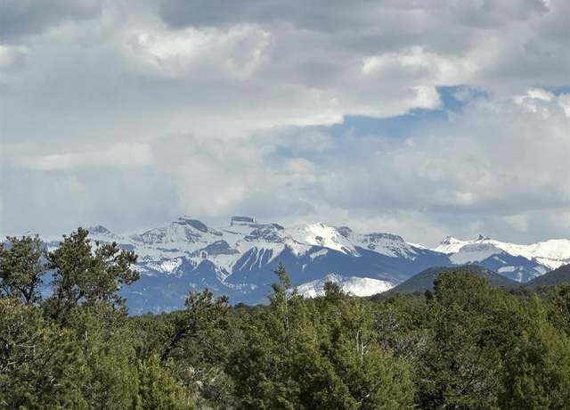 Property at TBD Government Springs Rd, Montrose, CO 81403