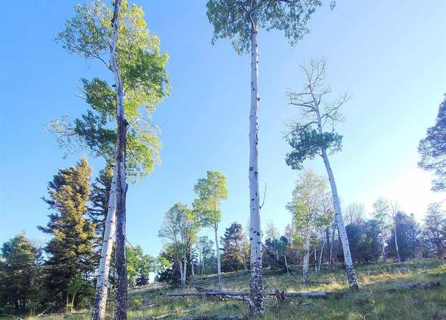 Property at 315 Kebler Trl, Powderhorn, CO 81243