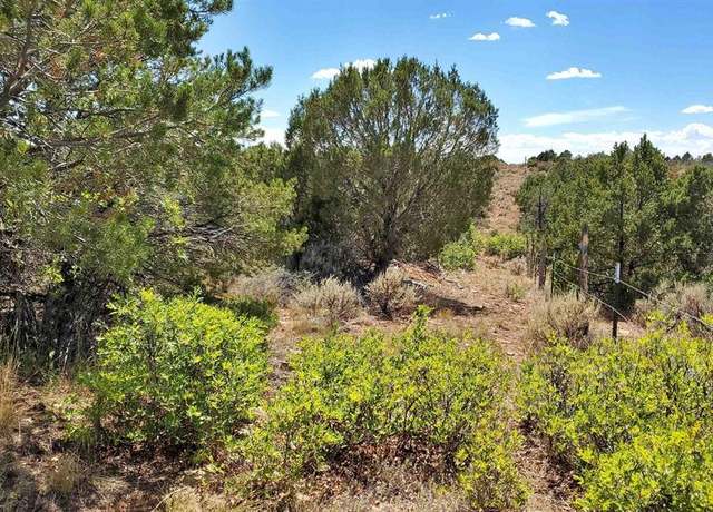 Property at tbd Road 15.5, Yellow Jacket, CO 81327