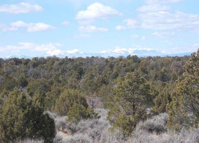 Property at tbd Lot19 Rd, Norwood, CO 81423