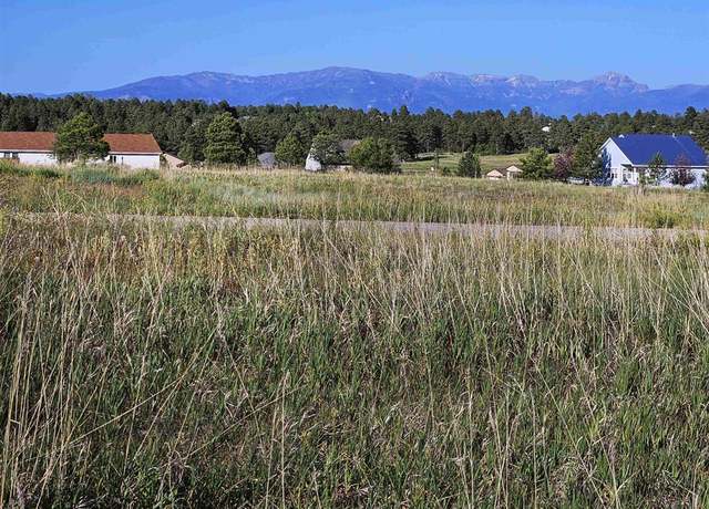Property at 326 Lake St, Pagosa Springs, CO 81147
