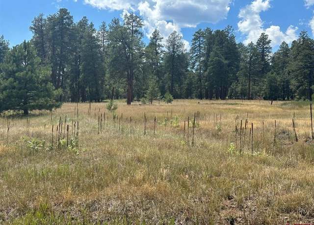 Property at 300 Hills Cir, Pagosa Springs, CO 81147
