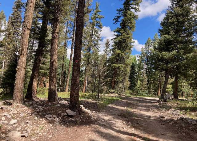 Property at 147 Ridge Rd, Cimarron, CO 81220