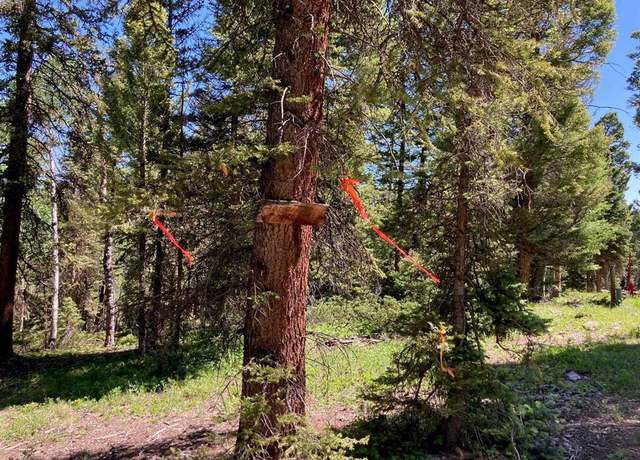 Property at 147 Ridge Rd, Cimarron, CO 81220