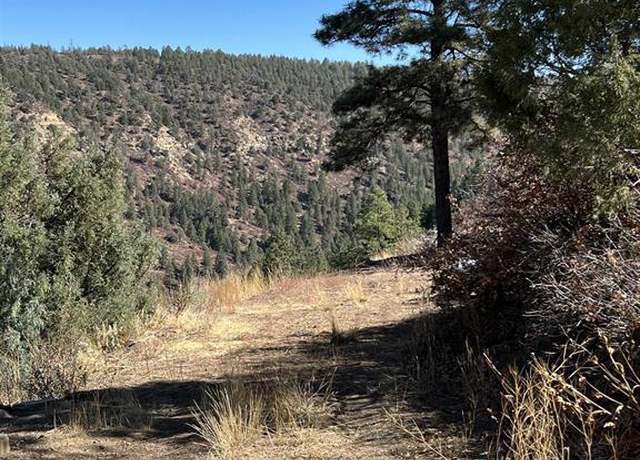 Property at 1151&1101 Gun Barrel Rd, Pagosa Springs, CO 81147