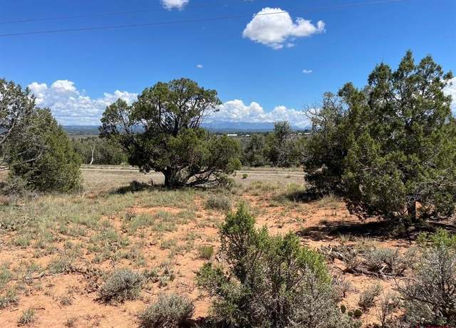 Property at TBD Road 24.3 Lot 4, Cortez, CO 81321