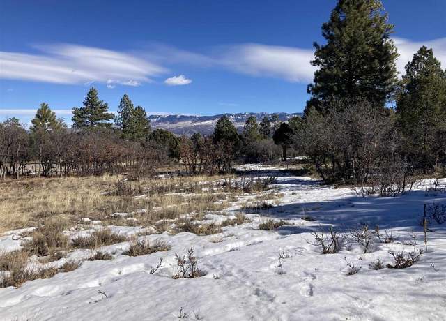 Property at 1254 Marmot Drive Lot 219, Ridgway, CO 81432