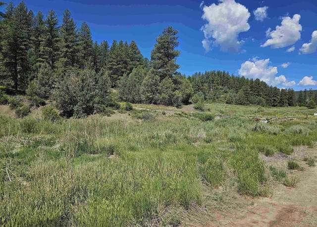 Property at 90 Badger Pl, Pagosa Springs, CO 81147