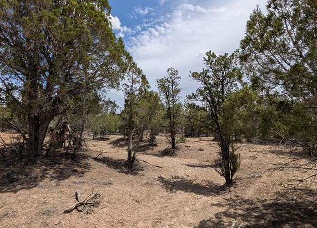 Property at 160 Cedar Dr, Arboles, CO 81121