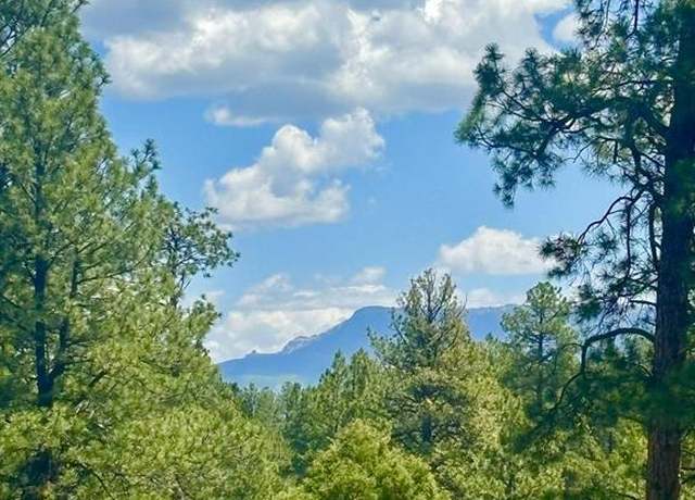 Property at 60 Fisher Canyon Dr, Ridgway, CO 81432