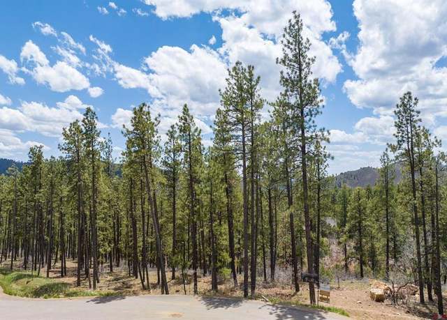 Property at 1091 Red Canyon Trl, Durango, CO 81301