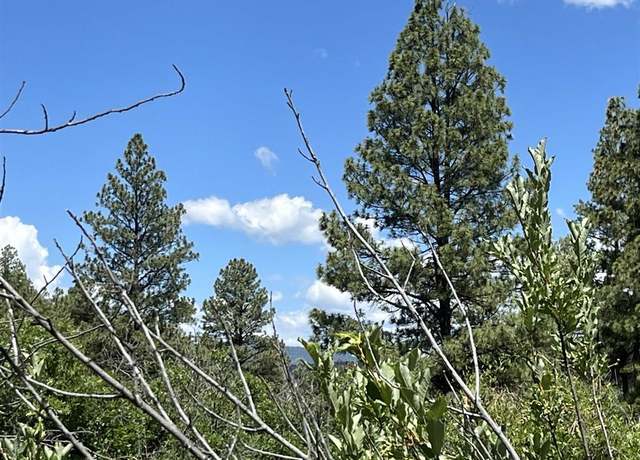 Property at 433 Echo Ln, Pagosa Springs, CO 81147