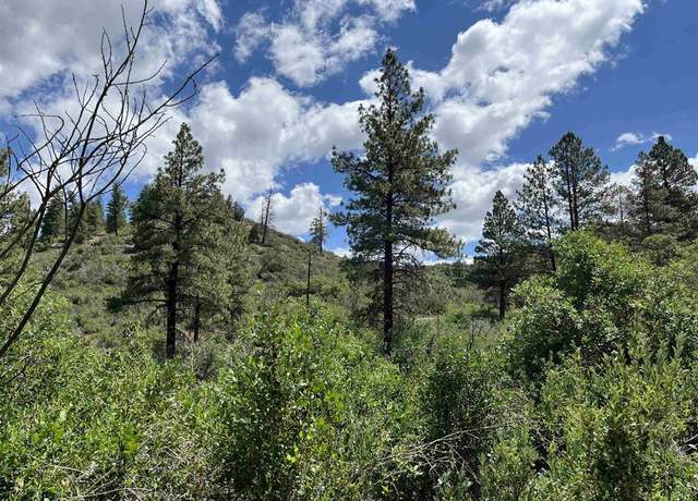Property at 278 Pineridge Trl, Pagosa Springs, CO 81147