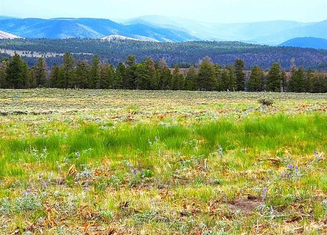 Property at 1092 Cinnamon Trl, Powderhorn, CO 81243