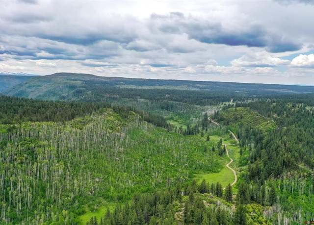 Property at Lot 3 Cottonwood Ranches Subdivision, Dolores, CO 81323