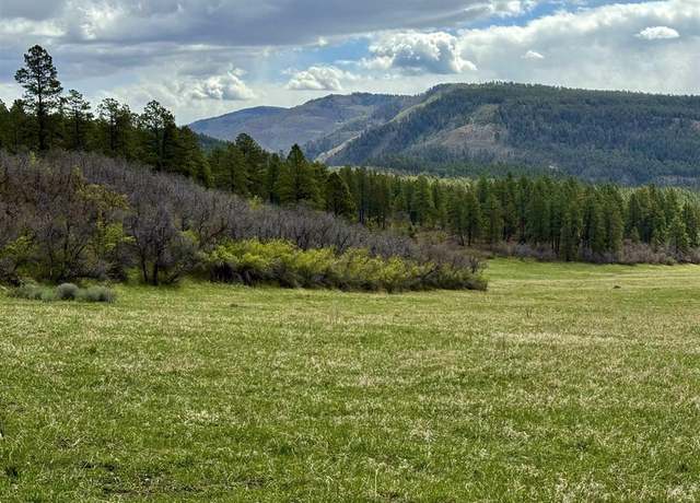 Property at 15098 Cr 240, Bayfield, CO 81122