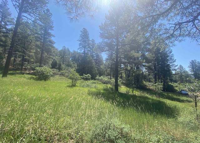 Property at 462 Circle Dr, Pagosa Springs, CO 81147