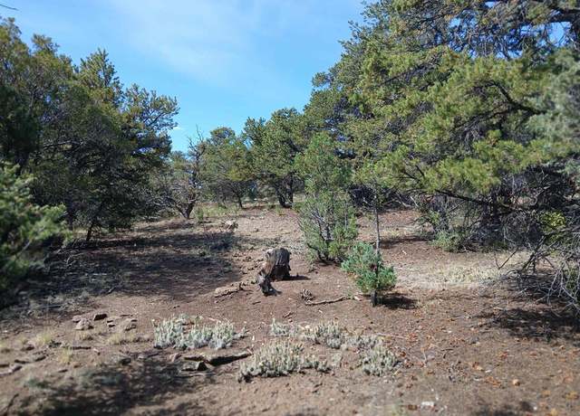 Property at 555 Aspen Rd, South Fork, CO 81154