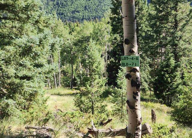 Property at BLk 71 Lots 4-6, Jasper, CO 81144