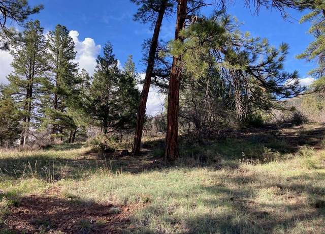 Property at Lot 1 Filing #1 Mary's Rd, Ridgway, CO 81432