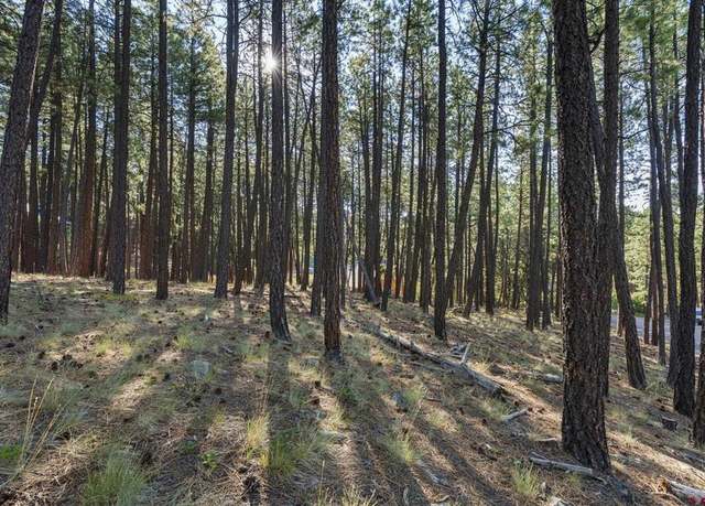 Property at 465 Deer Ridge Dr, Bayfield, CO 81122