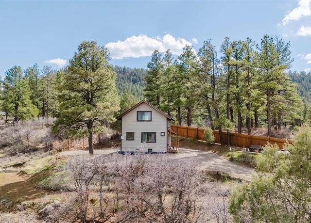 Property at 244 Carol's Curves, Pagosa Springs, CO 81147, 1 bed, 1 bath