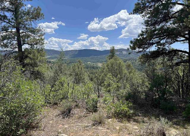Property at 737 Starling Cir, Pagosa Springs, CO 81147