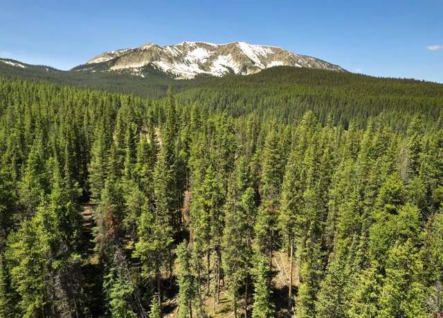 Property at 5350 Wildcat Trl, Crested Butte, CO 81224