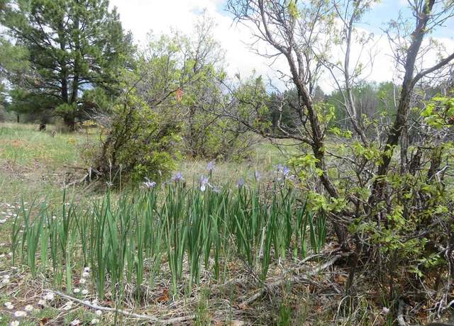 Property at 4140 N Pagosa Blvd, Pagosa Springs, CO 81147