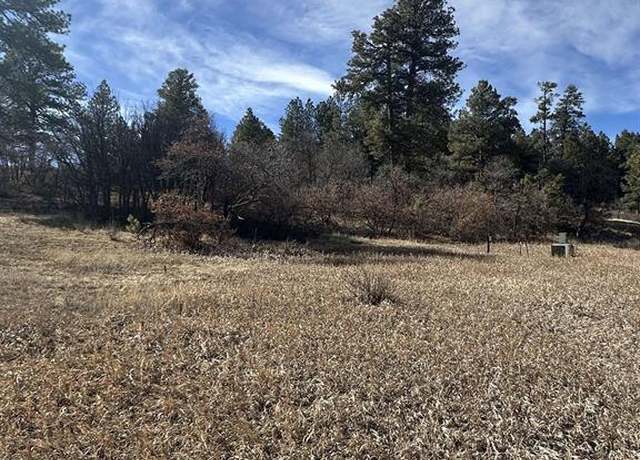 Property at 90 Chase Ct, Pagosa Springs, CO 81147