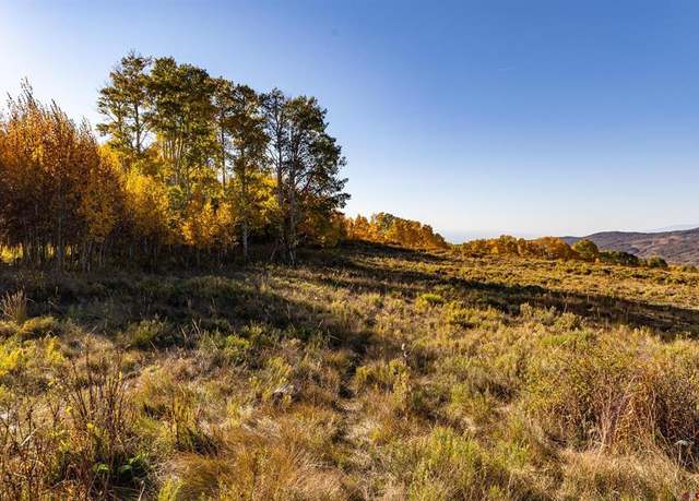 Property at TBD Wapiti Trl, Montrose, CO 81401