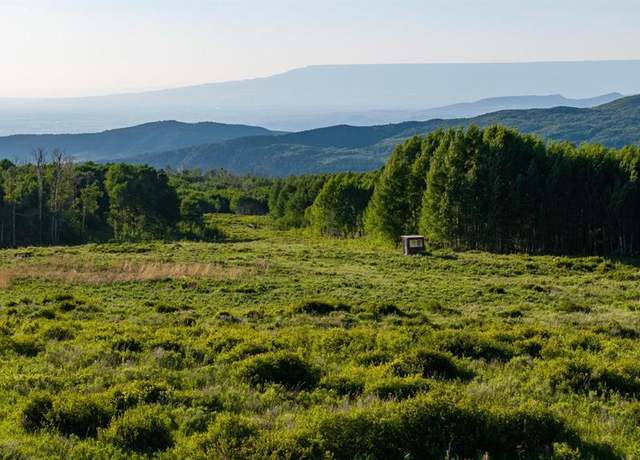 Property at TBD Wapiti Trl, Montrose, CO 81401